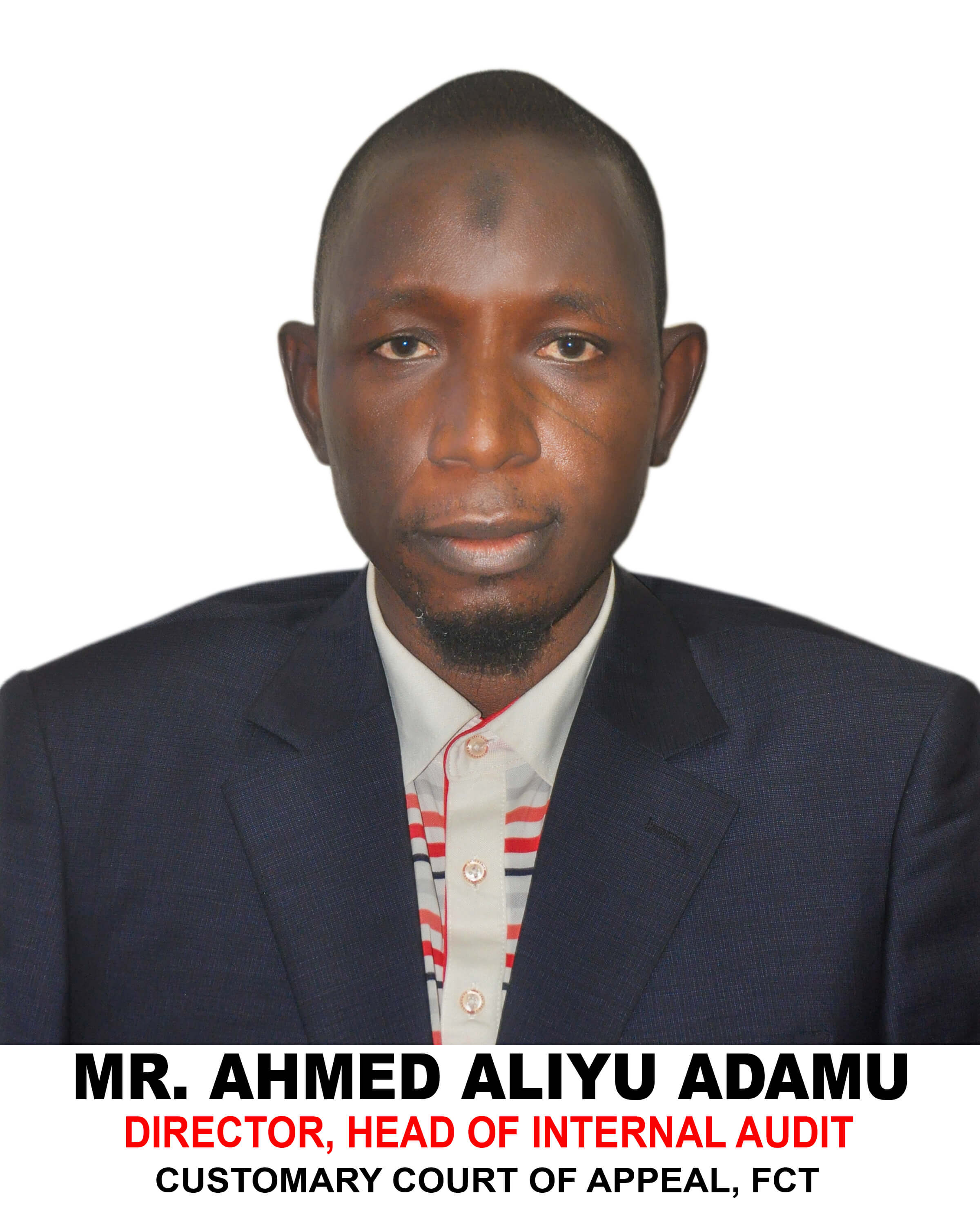 Hon. Justice Usman N. Ahmed